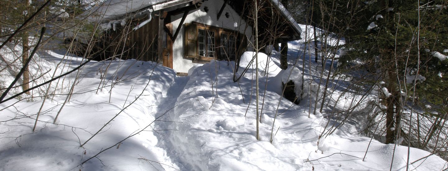 Maison au forêt Auberge de Jeunesse Grindelwald à l'hiver
