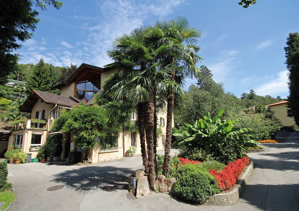 Outside view and house with palm tree Lugano Youth Hostel