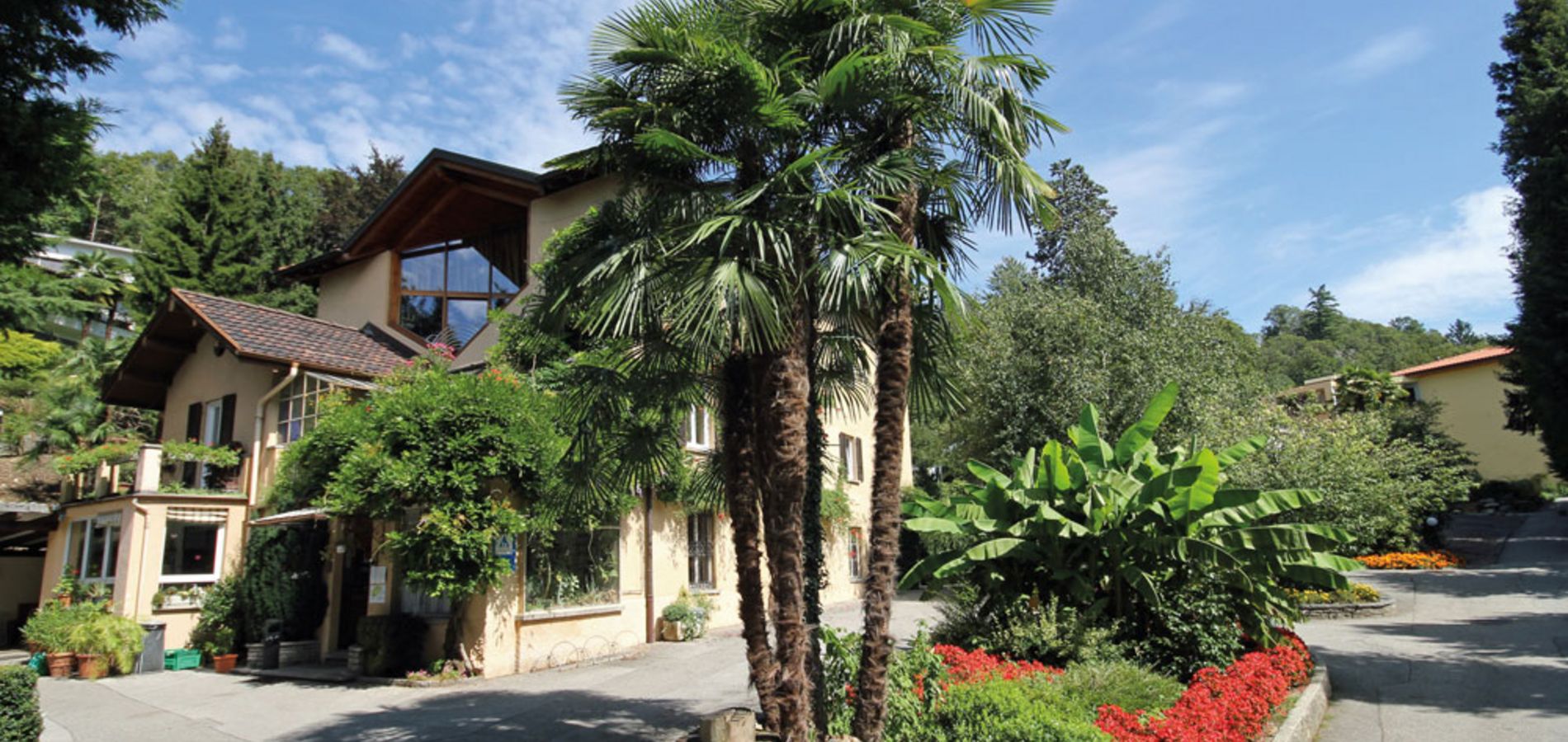 Outside view and house with palm tree Lugano Youth Hostel